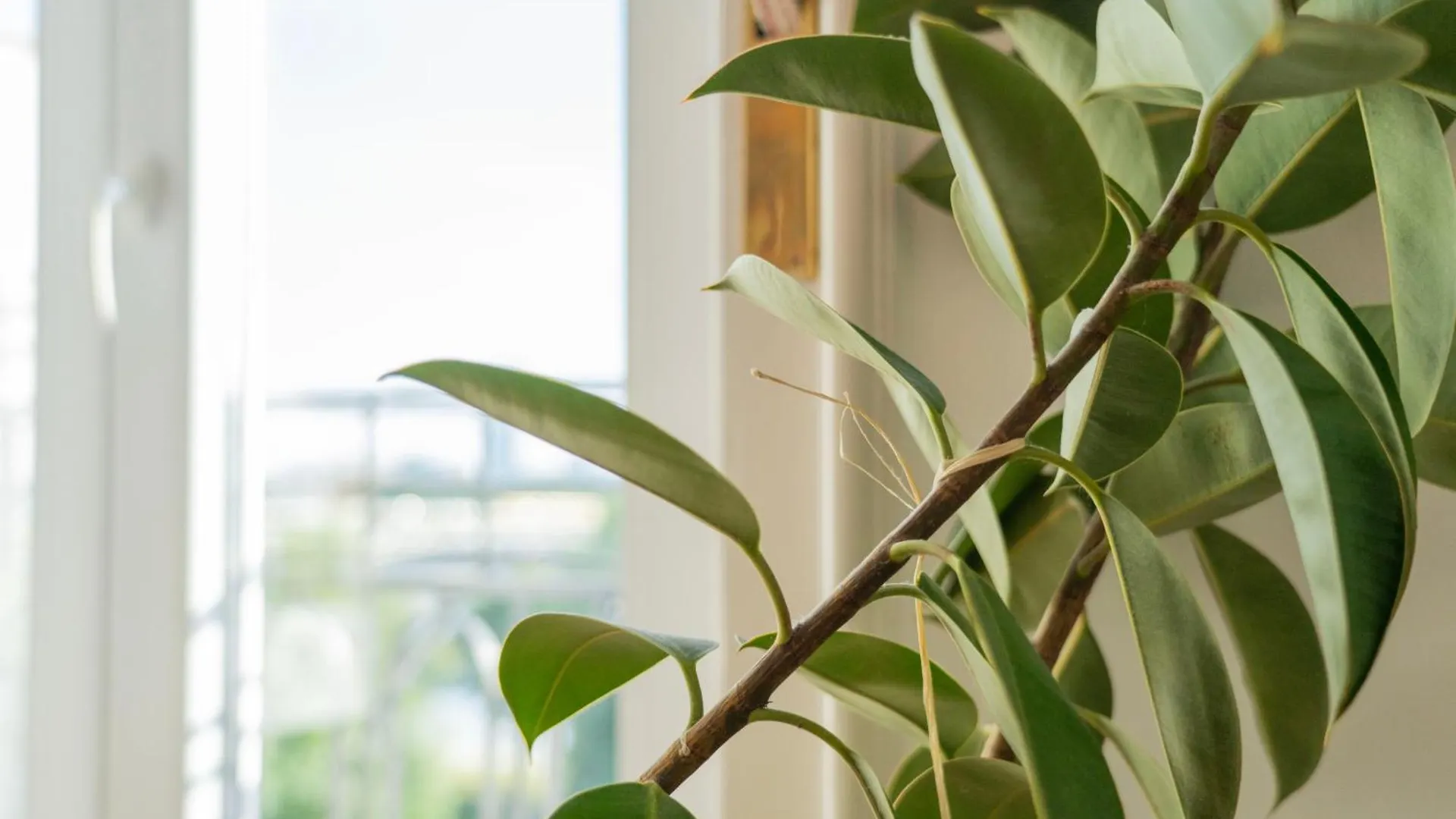 Aurelia Art Deco Suite With Panoramic Views Danube Budapest Apartment